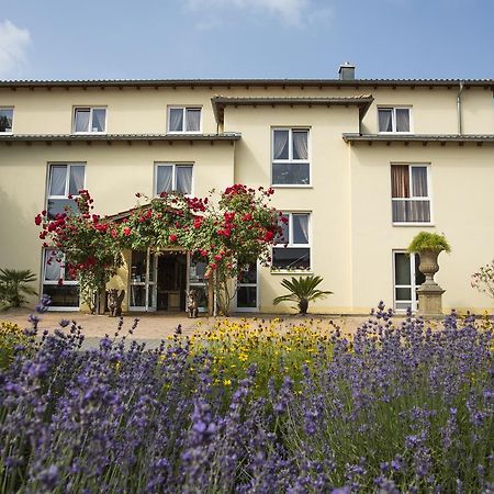 Karlstein am Main Mediterran Hotel Juwel מראה חיצוני תמונה