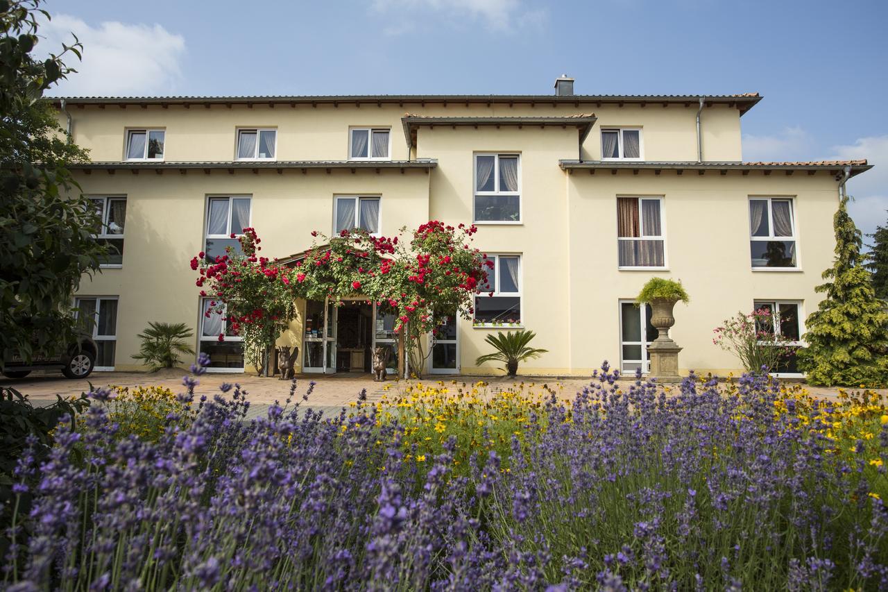 Karlstein am Main Mediterran Hotel Juwel מראה חיצוני תמונה